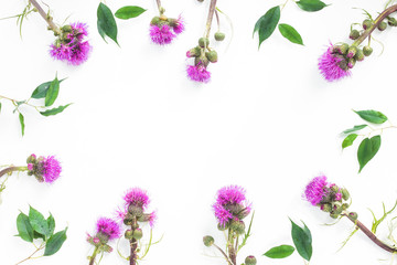 Purple flowers on white background. Flat lay, top view