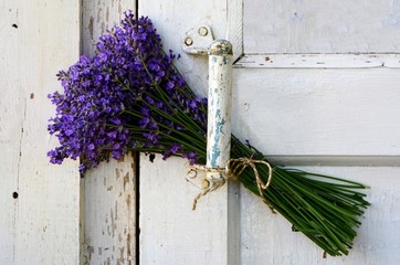 A bouquet of lavender on the handle of an old shabby door.