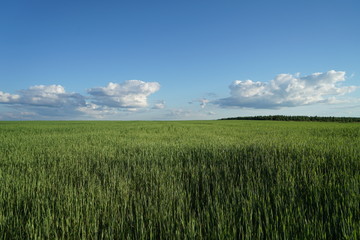 field