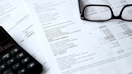 balance sheet of financial statement, analysis of business plan for stockholders. Investment portfolio.