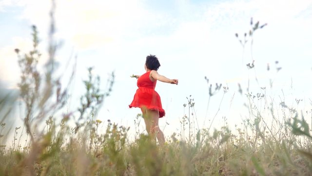 Plus size fashion model in slow motion video walking on the grass. fat woman on nature in the field grass flowers summer. overweight female body. full girl length portrait nature freedom lifestyle of