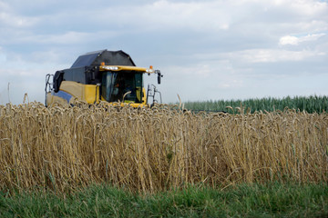 Obraz premium With modern machines, working in agriculture is much easier, here a combine harvester 