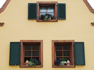 Window Setting, Germany