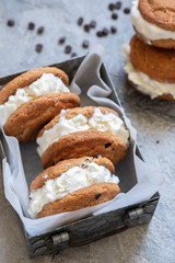 Chocolate Chip Ice Cream Cookie Sandwiches