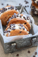 Chocolate Chip Ice Cream Cookie Sandwiches