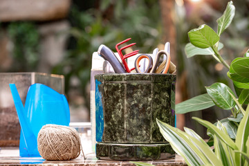 A lot of garden accessories on the table in greenhouse