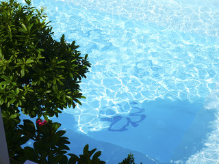 Fototapeta na wymiar Beautiful swimming pool in top view.