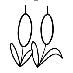 Foxtail cartoon illustration isolated on white background for children color book