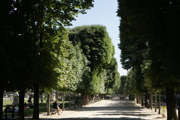 SONY DSC