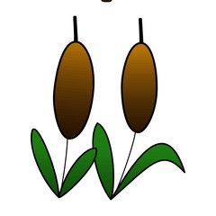 Foxtail cartoon illustration isolated on white background for children color book