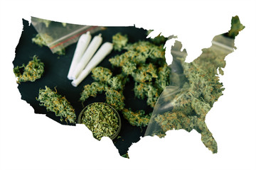Cannabis Bud in the United State of America, Legal Marijuana in America. Macro of marijuana bud...