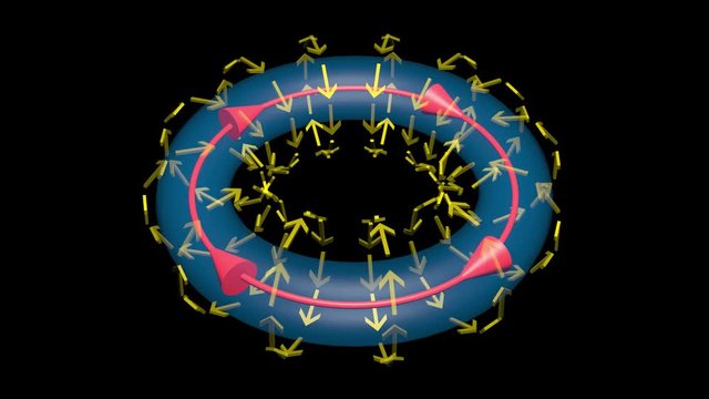 Fusion reactor toroidal magnetic fields . 3d animation. Still camera