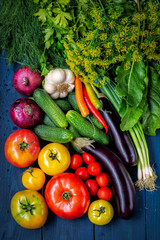Assorted vegetables on a dark wooden background 