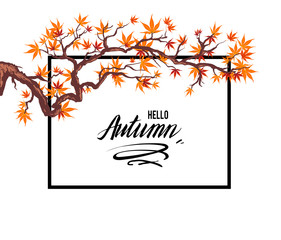 Frame autumn leaves