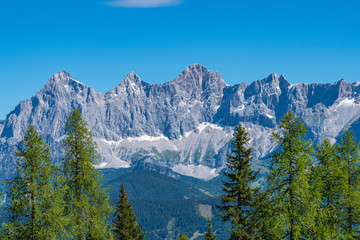 Hohe Dachstein mountain range in Austria with green trees in the foreground