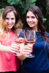 Close up of happy women toasting with wineglasses.