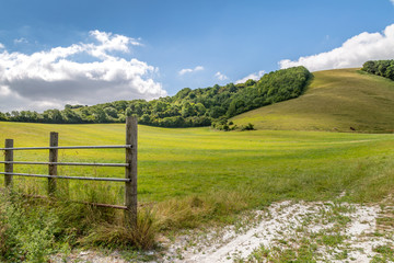 Fototapeta premium A green landscape in the South Downs National Park in Sussex