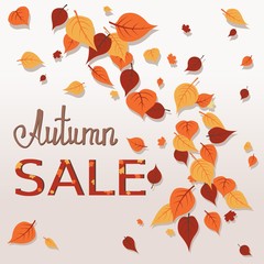 inscription autumn sale against the backdrop of falling leaves