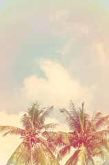 Background beautiful sunlight, branches of tropical palm trees, vintage style toning
