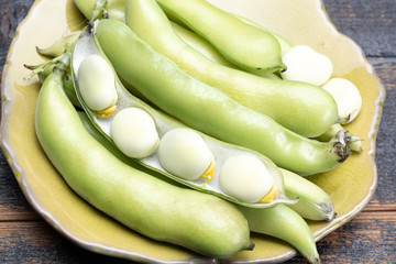 New harvest of healthy vegetables, green fresh raw big broad beans close up