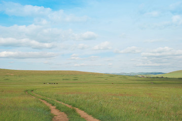 Steppe landscape