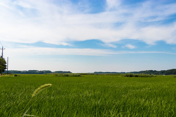 Countryside scenery of Sakura city, Chiba prefecture, Japan