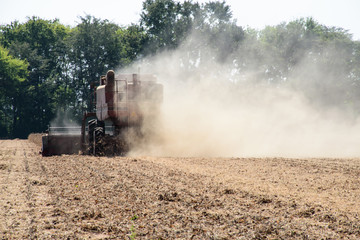 Naklejka premium A soybean harvester cutting and gathering dried ripened beans in a field with dust and chaff blowing in the wind