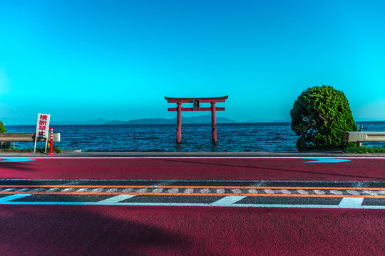 Torii