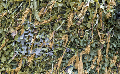 Military Camouflage Ghillie Background