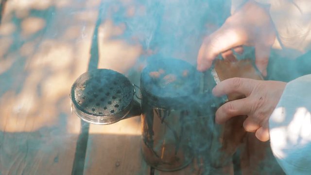 bee-maker of a smoke pipe beeper smoker device for repelling evil bees lifestyle. slow motion video apiary. beekeeping concept bee agriculture