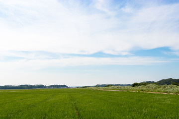 Countryside scenery of Sakura city, Chiba prefecture, Japan