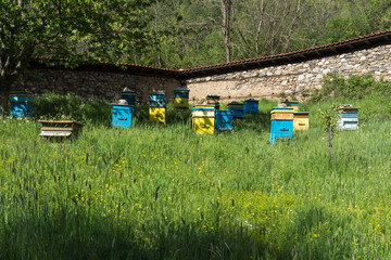 Fototapeta premium Medieval Nunnery Orlitsa St. Apostles Peter and Paul near Rila Monastery, Kyustendil Region, Bulgaria