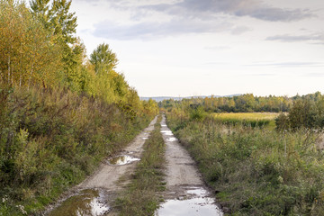 the road going to the distance