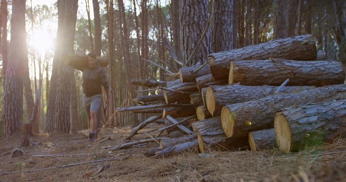 Male logger carrying wooden log in the forest 4k