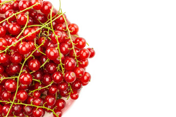 Red currant berry in a bowl flatlay isolated on white.