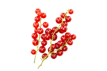 Group of three whole red currant berry flatlay isolated on white.
