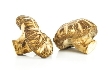 Group of two whole fresh raw brown shiitake mushroom isolated on white.