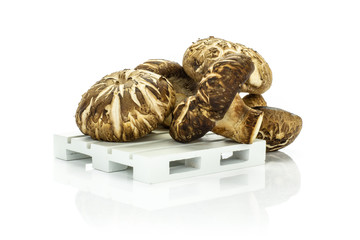 Fresh raw brown shiitake mushroom on a wooden pallet isolated on white.