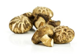 Fresh raw brown shiitake mushroom isolated on white.