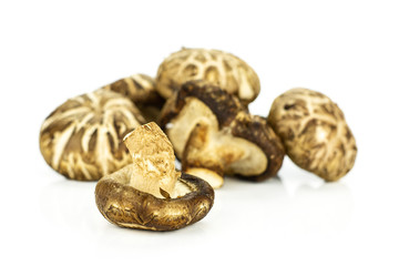Fresh raw brown shiitake mushroom isolated on white.