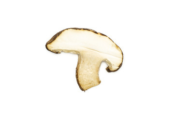 One slice of fresh raw brown shiitake mushroom flatlay isolated on white.
