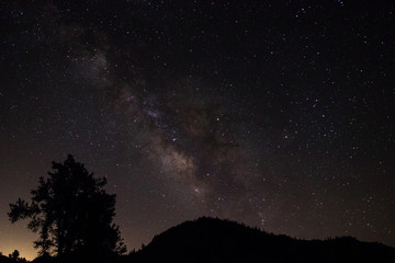 Fototapeta na wymiar Milky Way Silhouette