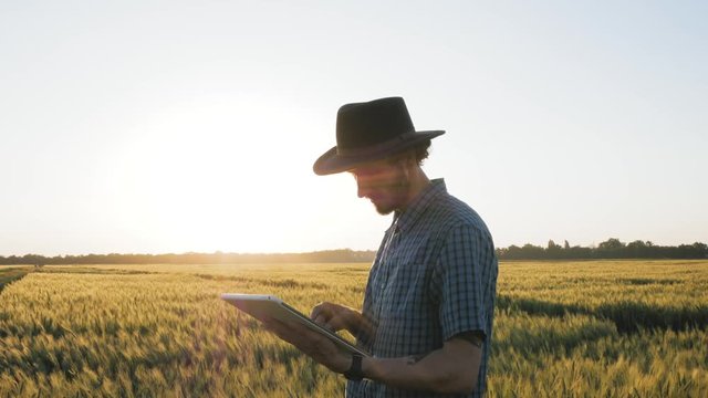 Young male in hat work in wheat field with tablet 