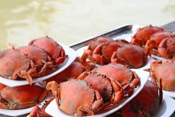 Steamed crab at street food