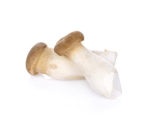 mushroom on the White background