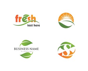  green leaf ecology nature element