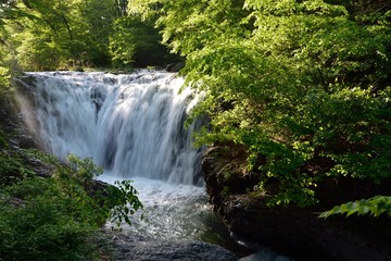 Naklejka premium 滝の流れのある新緑の山の中