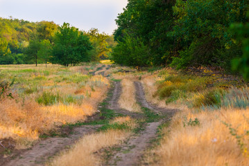 Beautiful summer landscape of Russia country road