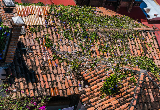 Roof tiles, Vintage terracotta shingles