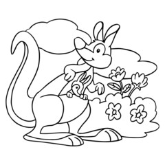 Kangaroo cartoon illustration isolated on white background for children color book